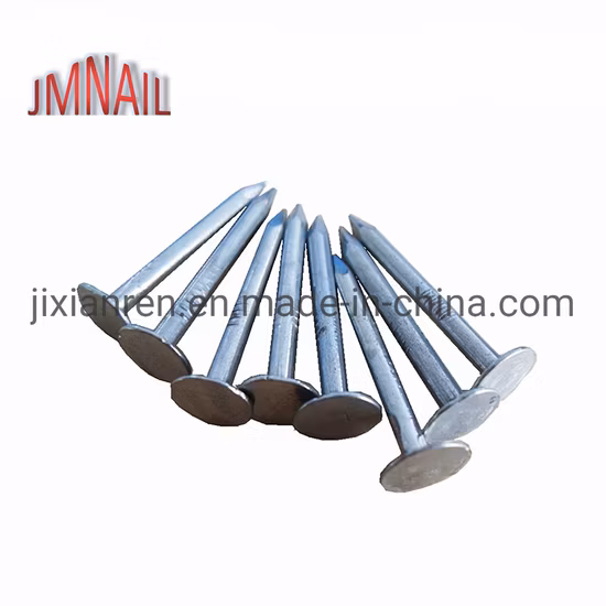 Roofing Nail/Clout Nail/Big Head Nail
