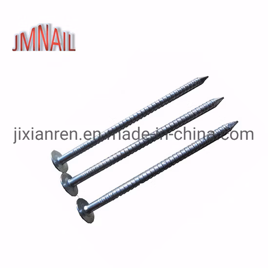Roofing Nail/Clout Nail/Big Head Nail