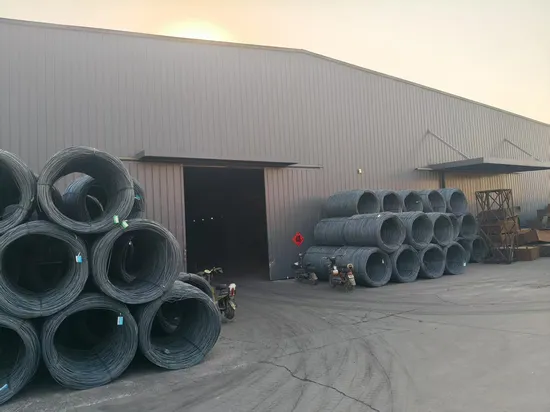Roofing Nail/Clout Nail/Big Head Nail