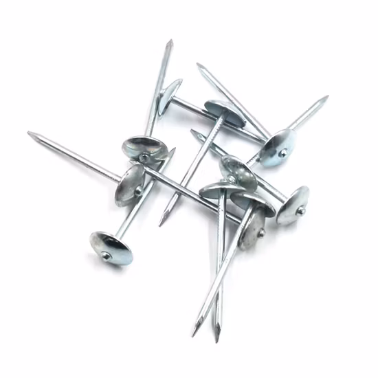 Le fabricant direct a galvanisé les clous ondulés de toiture de tête de parapluie de tige lisse