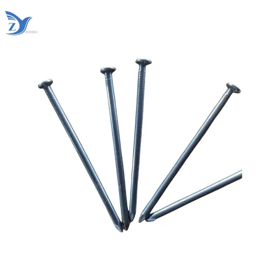 Clous en fil de bois communs, livraison rapide, importateur de clous en fer, clous communs