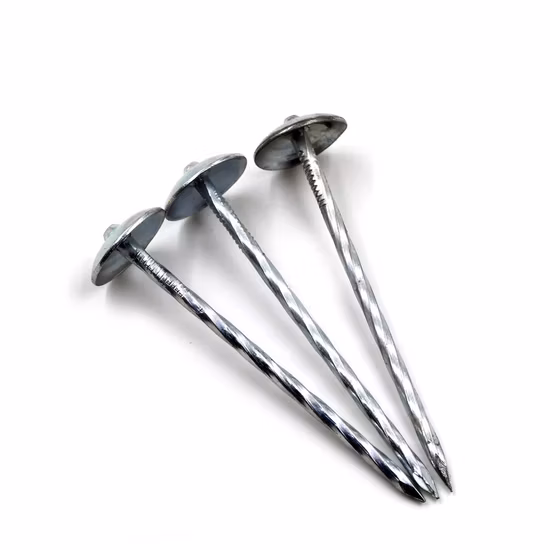  Fabricant 15 Degré 2