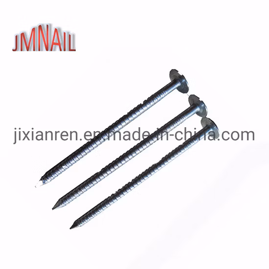 Clou de toiture/clou de clout/clou à grosse tête