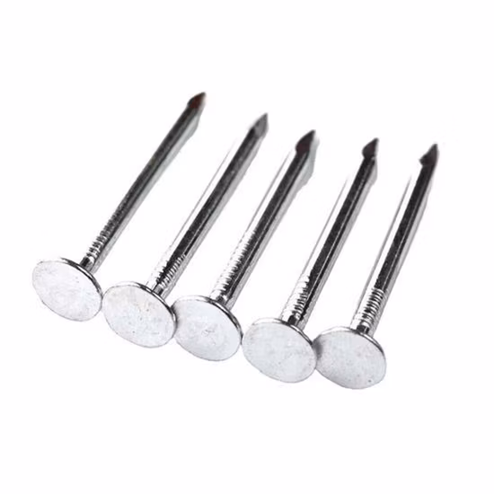 Clouts Clou/Clou de Plafond/Clou en Feutre Enduit de Zinc 1