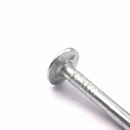 Original Clous de toiture à tête plate de 25mm X 3mm/clous galvanisés pour la toiture/clous de toiture en bobine/clous en cuivre/clous en fer/clous galvanisés